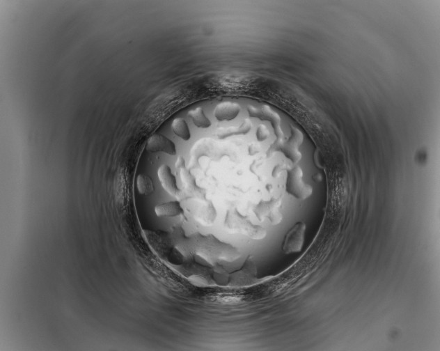 X0000099300651200805090955