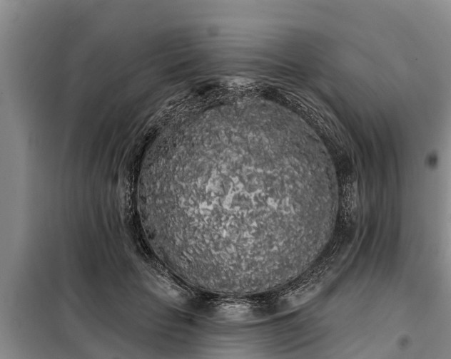 X0000099300653200805090955