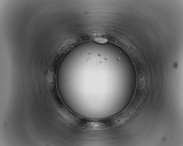 X0000099300654200805090955