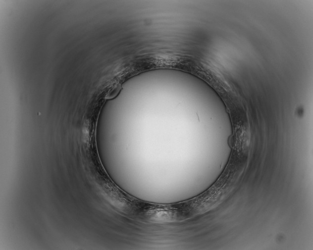 X0000099300655200805090955