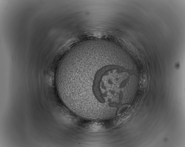 X0000099300656200805090955