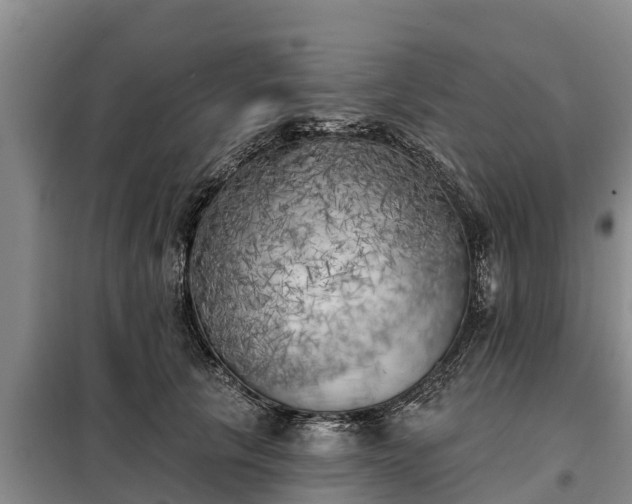 X0000099300657200805090955
