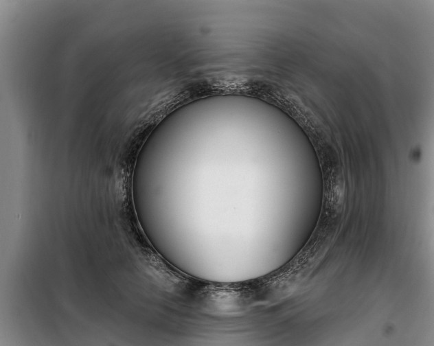 X0000099300658200805090955