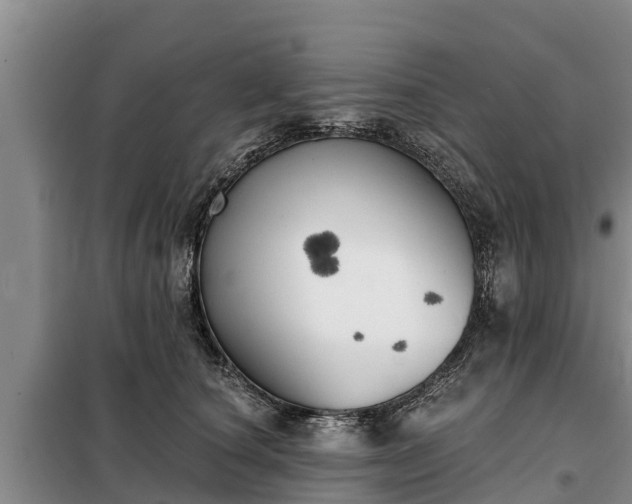 X0000099300660200805090955