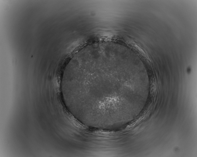 X0000099300661200805090955