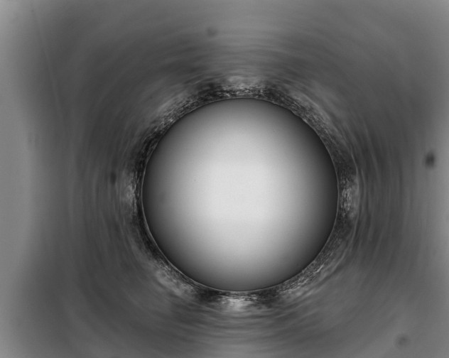 X0000099300662200805090955