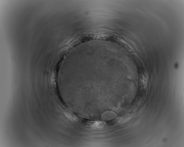 X0000099300663200805090955