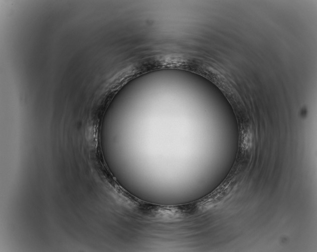 X0000099300666200805090955