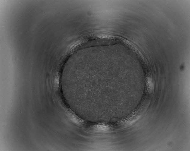 X0000099300668200805090955