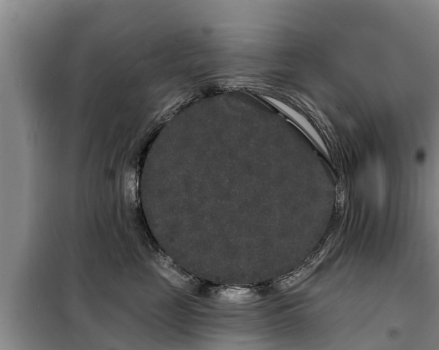 X0000099300669200805090955