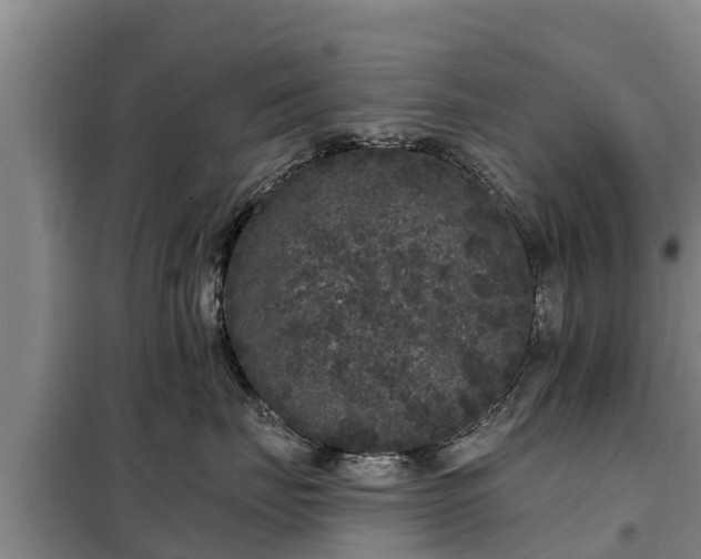 X0000099300671200805090955