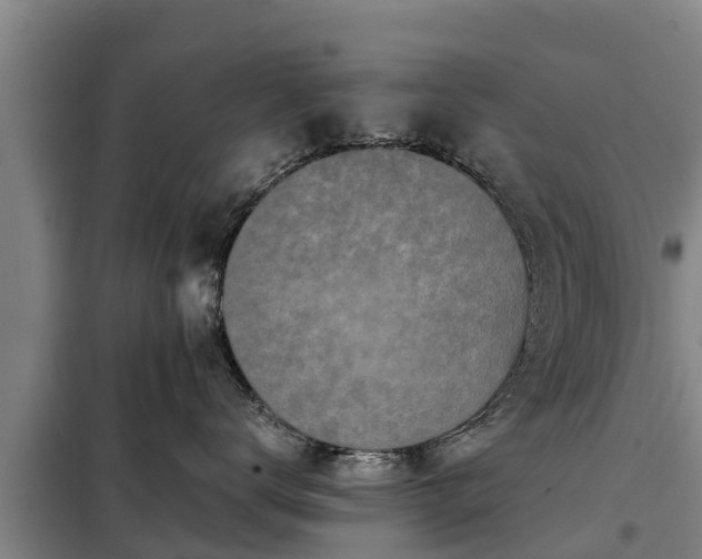 X0000099300672200805090955