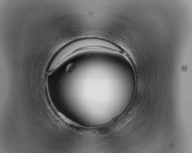 X0000099300673200805090955