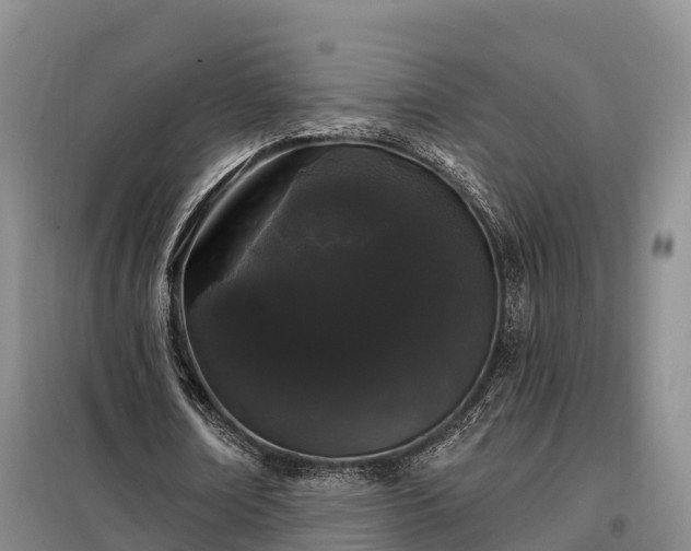 X0000099300674200805090955