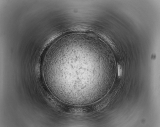 X0000099300675200805090955