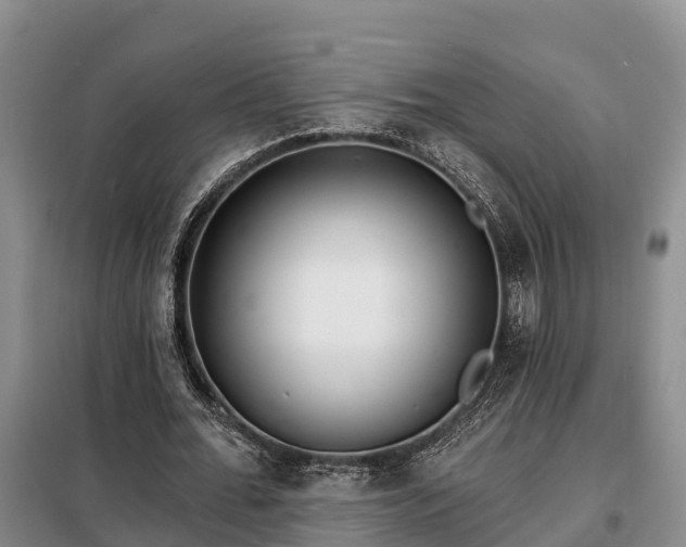 X0000099300676200805090955