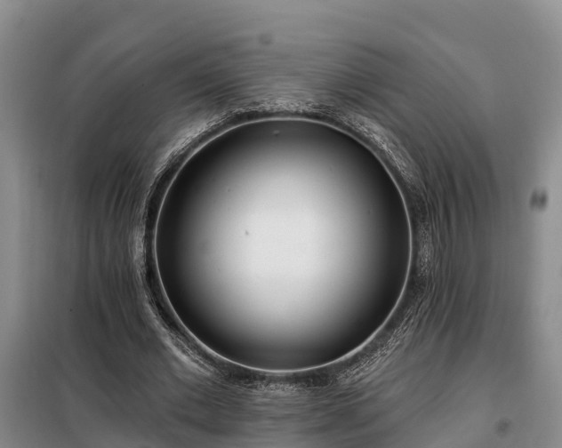 X0000099300677200805090954