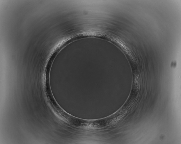 X0000099300678200805090954