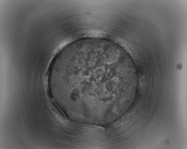 X0000099300679200805090954