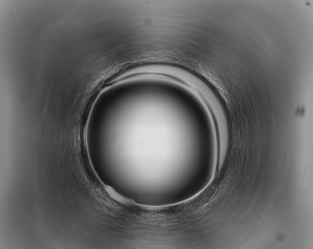 X0000099300681200805090954