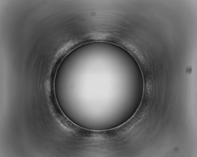 X0000099300682200805090954