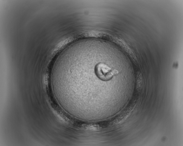 X0000099300683200805090954