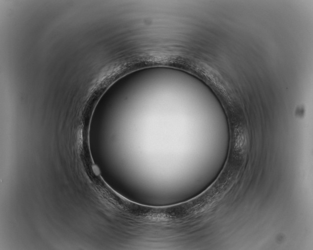 X0000099300685200805090954