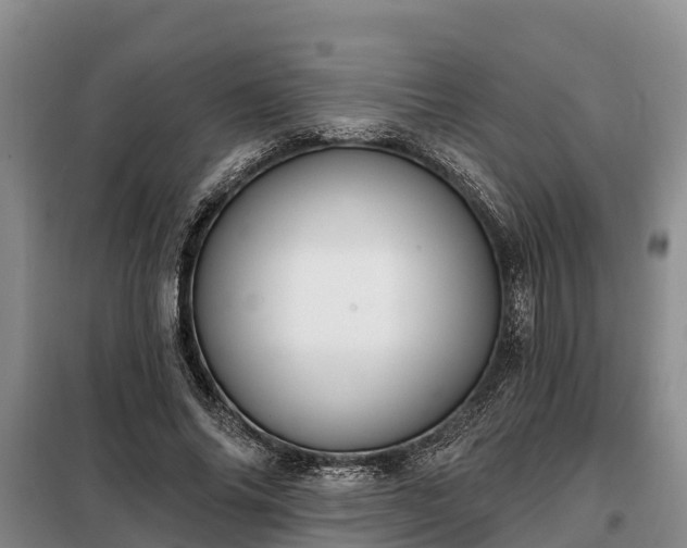 X0000099300686200805090954