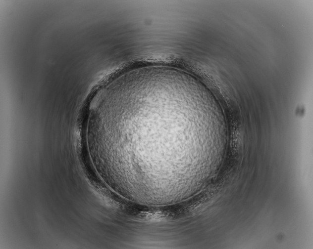 X0000099300688200805090954