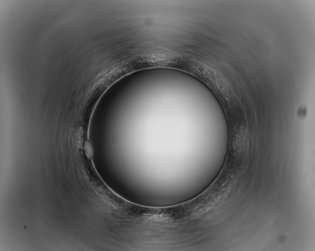 X0000099300689200805090954