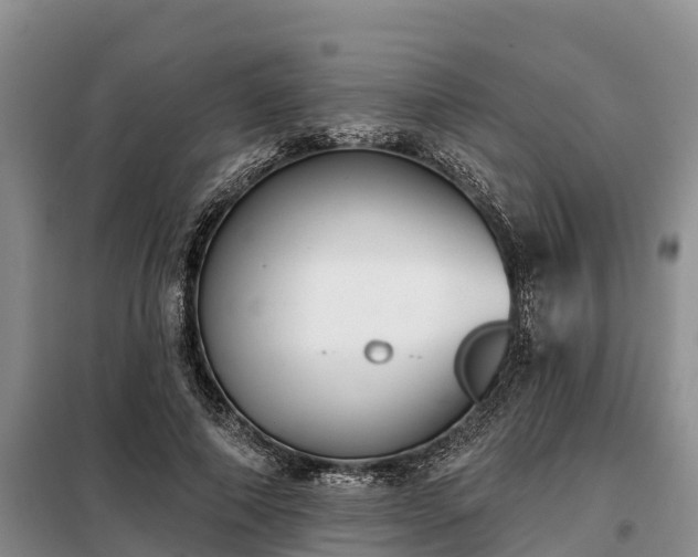 X0000099300690200805090954