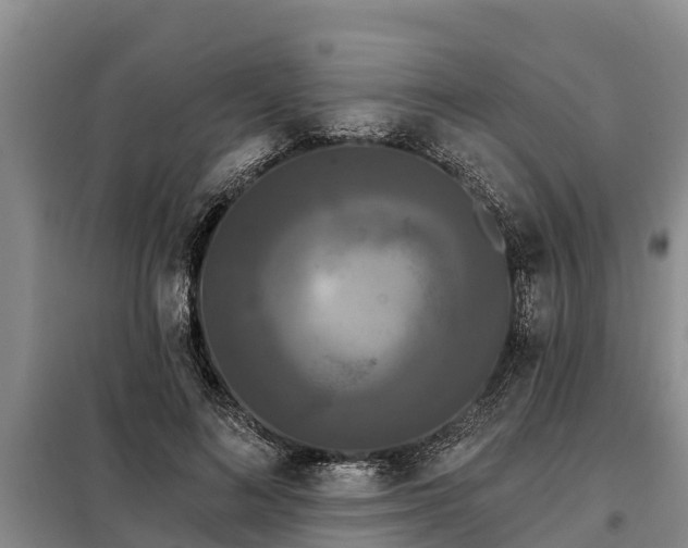 X0000099300692200805090954