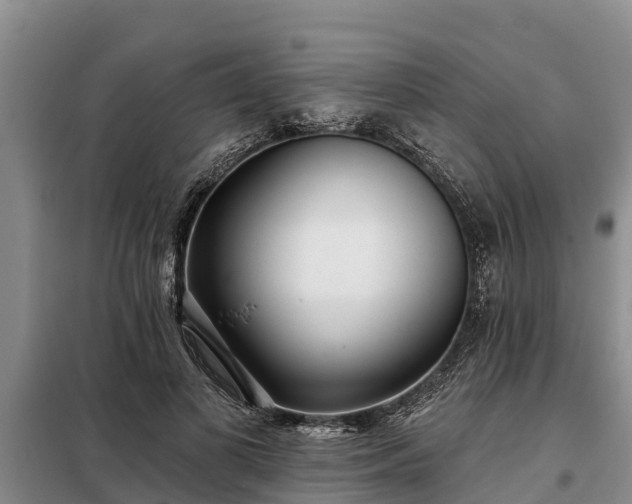 X0000099300693200805090954