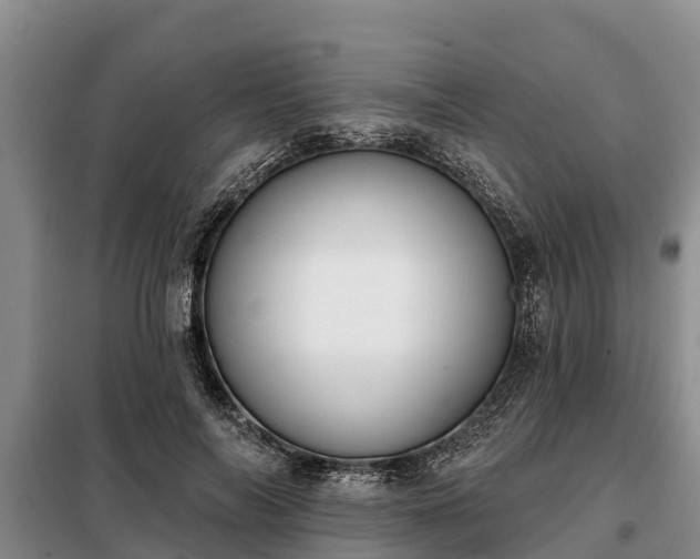 X0000099300694200805090954