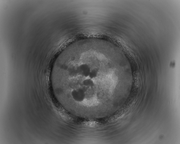 X0000099300695200805090954