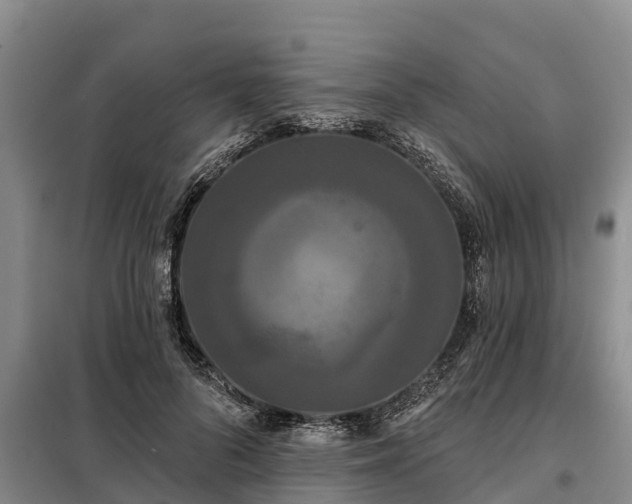 X0000099300696200805090954