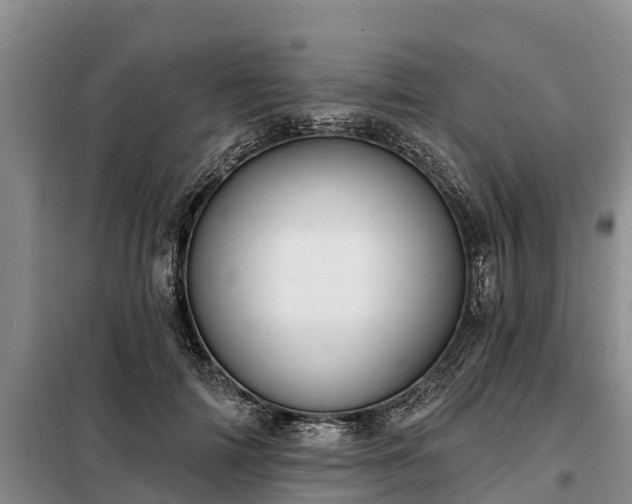 X0000099300698200805090954