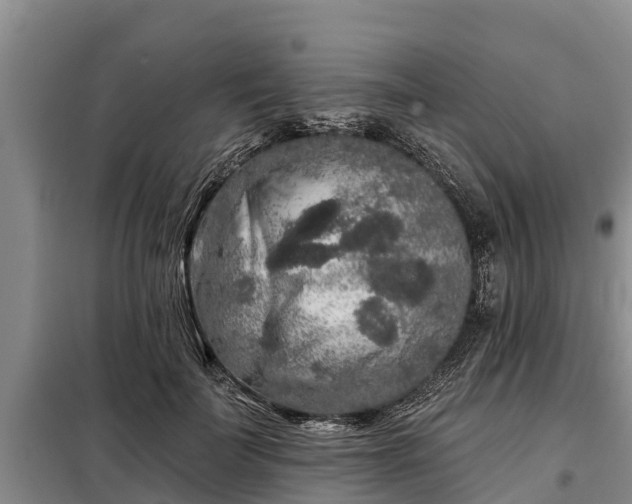 X0000099300699200805090954