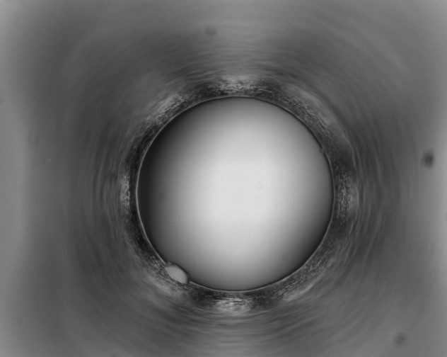 X0000099300700200805090954