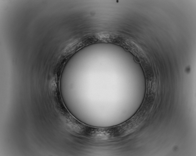 X0000099300702200805090954