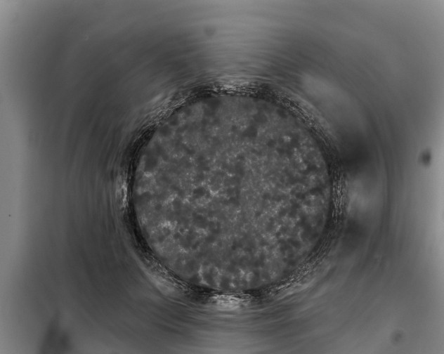 X0000099300703200805090954