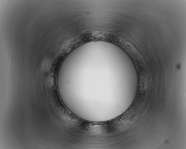 X0000099300706200805090954