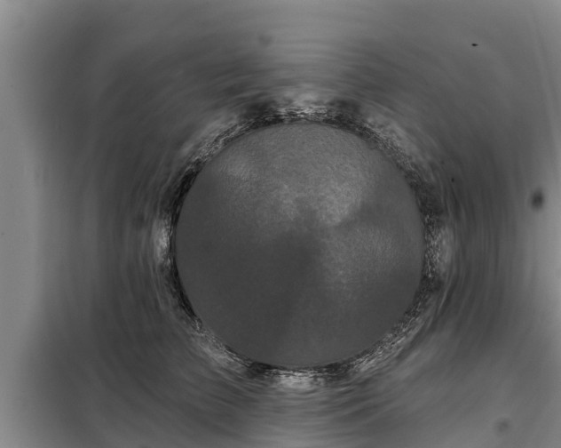 X0000099300709200805090954