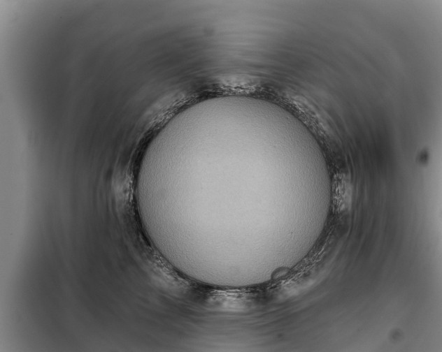 X0000099300713200805090954