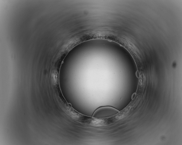 X0000099300718200805090954