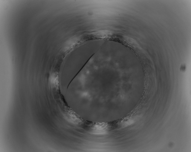 X0000099300720200805090954