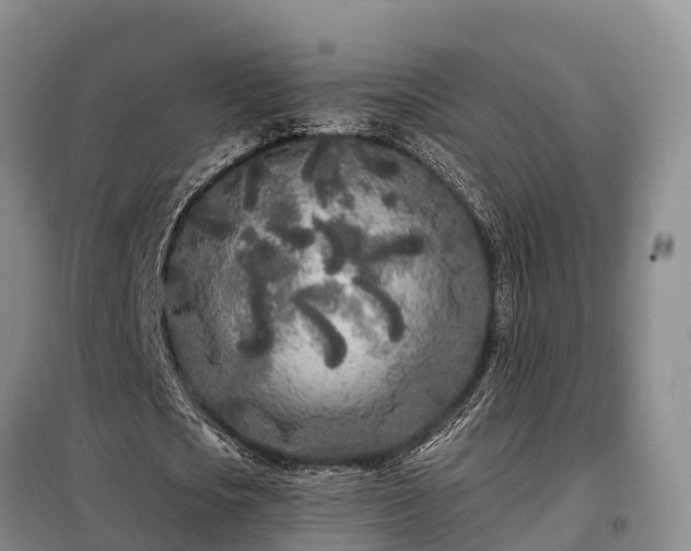 X0000099300721200805090953