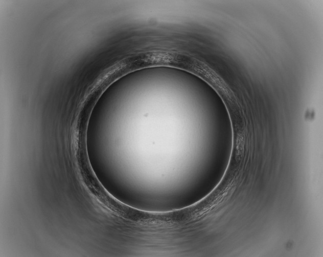 X0000099300722200805090953