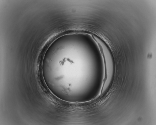 X0000099300723200805090953