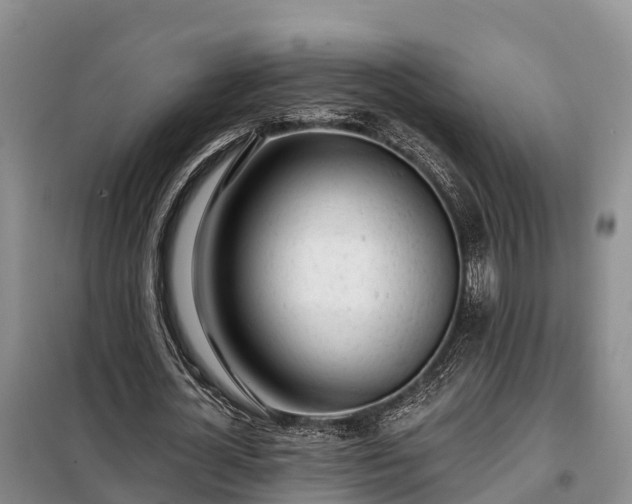 X0000099300724200805090953